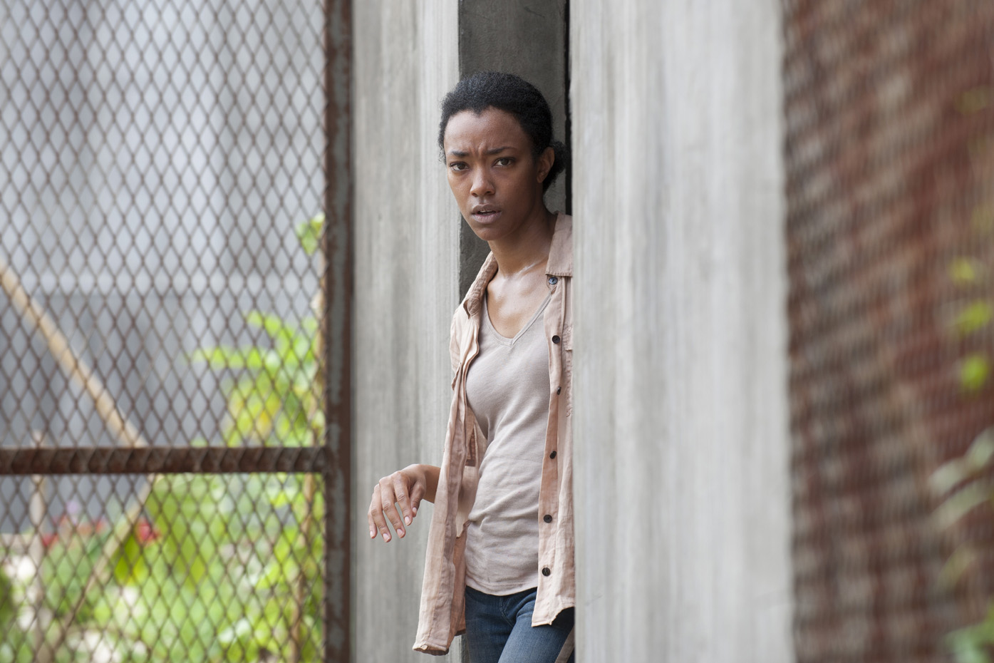 The Walking Dead - 04x03 - Isolation