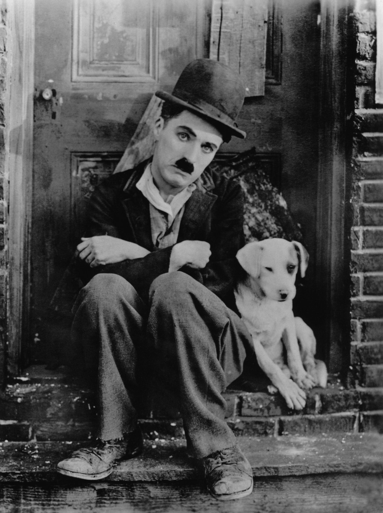 Chaplin_A_Dogs_Life